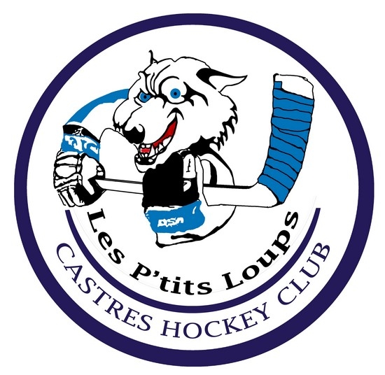 Photo hockey Tournoi U9 - U11  Castres - Hockey Mineur