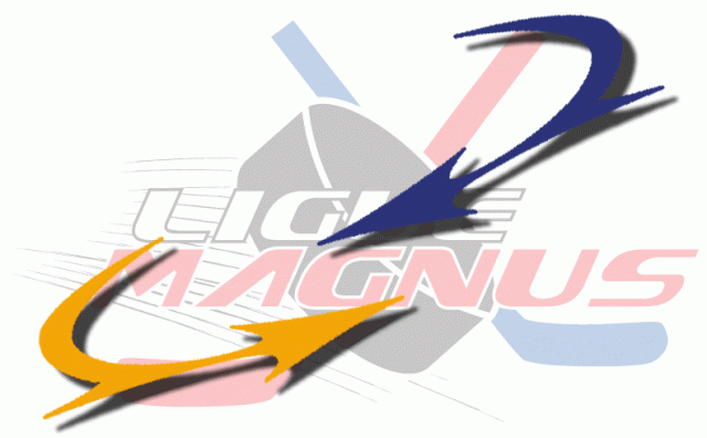 Photo hockey Transferts :  Magnus 2008 / 2009 - Ligue Magnus