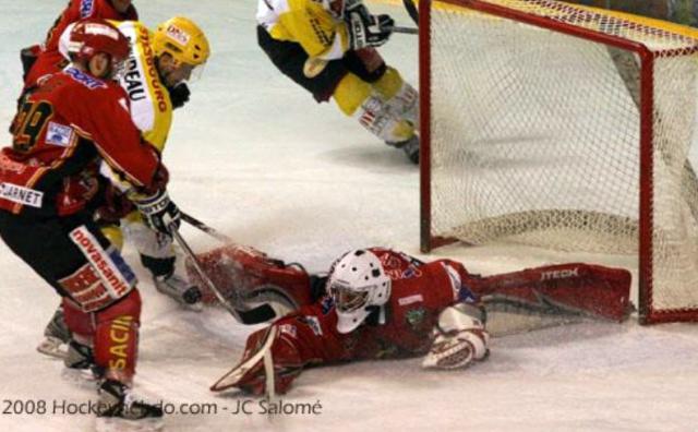 Photo hockey Transferts : Impressions F. Hardy - Ligue Magnus : Dijon  (Les Ducs)