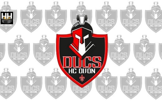 Photo hockey Un gardien chez les Ducs - Division 2