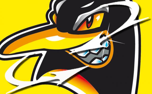 Photo hockey Un nouveau venu  Morzine - Ligue Magnus : Morzine-Avoriaz (Les Pingouins)