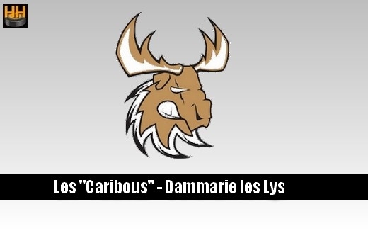 Photo hockey VALIDATIONS - Communiqu des Caribous - Division 2 : Dammarie-les-Lys (Les Caribous)