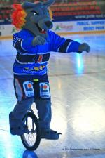 Photo hockey album Conti Cup 10 - Grenoble - Salzburg