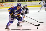 Photo hockey album Dijon-Grenoble (PO Match 5)