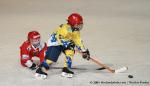 Photo hockey album Petits champions 2009 - NF