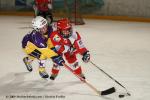 Photo hockey album Petits champions 2009 - NF