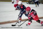 Photo hockey album Petits Champions 2010 - N.Fradin