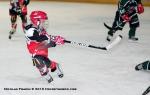 Photo hockey album Petits Champions 2010 - N.Fradin