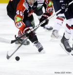 Photo hockey match Amiens  - Angers  le 25/10/2014
