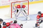 Photo hockey match Amiens  - Angers  le 12/10/2018