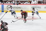 Photo hockey match Amiens  - Angers  le 30/09/2025
