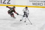 Photo hockey match Amiens  - Angers  le 06/02/2026