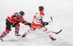 Photo hockey match Amiens  - Bordeaux le 17/11/2017