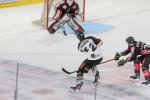 Photo hockey match Amiens  - Bordeaux le 08/10/2019