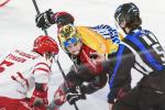 Photo hockey match Amiens  - Brianon  le 28/11/2025