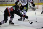 Photo hockey match Amiens  - Caen  le 24/11/2012