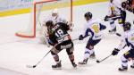 Photo hockey match Amiens  - Chamonix  le 27/12/2015