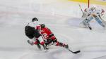 Photo hockey match Amiens  - Chamonix  le 05/01/2018