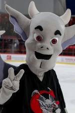 Photo hockey match Amiens  - Chamonix  le 05/01/2018