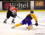 Photo hockey match Amiens  - Dijon  le 18/01/2014
