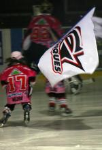 Photo hockey match Amiens  - Dijon  le 28/02/2009