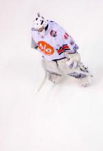 Photo hockey match Amiens  - Dijon  le 06/01/2012