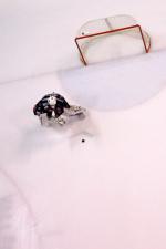 Photo hockey match Amiens  - Dijon  le 06/01/2012