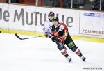 Photo hockey match Amiens  - Grenoble  le 28/12/2014