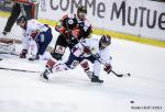 Photo hockey match Amiens  - Grenoble  le 28/12/2014