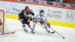 Photo hockey match Amiens  - Grenoble  le 31/01/2016