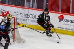 Photo hockey match Amiens  - Grenoble  le 19/01/2024