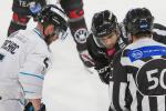 Photo hockey match Amiens  - Marseille le 20/10/2023