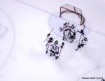 Photo hockey match Amiens  - Morzine-Avoriaz le 25/02/2014