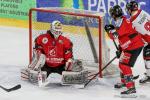 Photo hockey match Amiens  - Mulhouse le 25/01/2019
