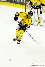 Photo hockey match Amiens  - Rouen le 14/02/2014