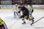 Photo hockey match Amiens  - Rouen le 09/09/2014