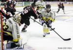 Photo hockey match Amiens  - Rouen le 09/09/2014