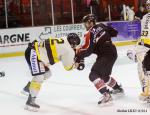 Photo hockey match Amiens  - Rouen le 09/09/2014