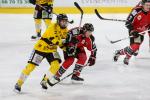 Photo hockey match Amiens  - Rouen le 19/01/2018