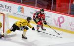 Photo hockey match Amiens  - Rouen le 13/03/2018