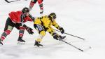 Photo hockey match Amiens  - Rouen le 18/03/2018