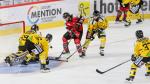Photo hockey match Amiens  - Rouen le 18/09/2018