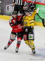 Photo hockey match Amiens  - Rouen le 30/12/2018