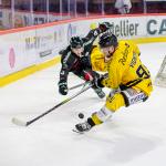 Photo hockey match Amiens  - Rouen le 16/02/2024