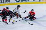 Photo hockey match Amiens  - Rouen le 31/01/2025