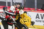 Photo hockey match Amiens  - Rouen le 17/03/2026