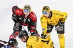 Photo hockey match Amiens  - Rouen le 23/03/2026