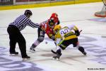 Photo hockey match Amiens  - Strasbourg  le 17/09/2013
