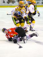 Photo hockey match Amiens  - Strasbourg  le 02/11/2013