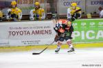 Photo hockey match Amiens  - Strasbourg  le 31/01/2015